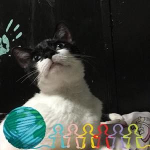 Meet your Posher, Marco